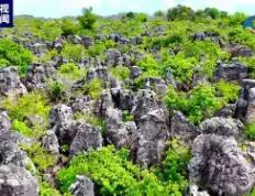 世俱杯决赛-关于瑙鲁击剑好手称露头角，获奖心痛的信息