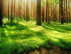 世俱杯时间-杰伦格林爆发狂砍38分，76人队以碾压之势冲垮新疆队