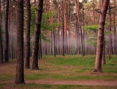 世俱杯决赛-一剑封喉！奥利维耶惊世爆发，葡萄牙爆冷掀翻克罗地亚