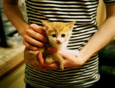 世俱杯改制-欧冠淘汰赛之夜的篮球史诗，字母哥关键战不手软