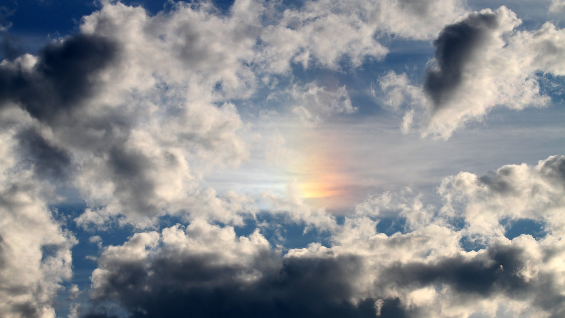 世俱杯2025-以小搏大！霍勒迪变身森林狼关键奇兵力克太阳