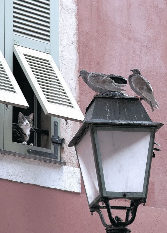 世俱杯改制-绿茵战争与天生主角，当苏格兰风笛遇上斗牛士之魂，卡马文加于硝烟中加冕