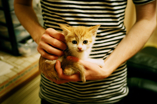 世俱杯改制-欧冠淘汰赛之夜的篮球史诗,字母哥关键战不手软