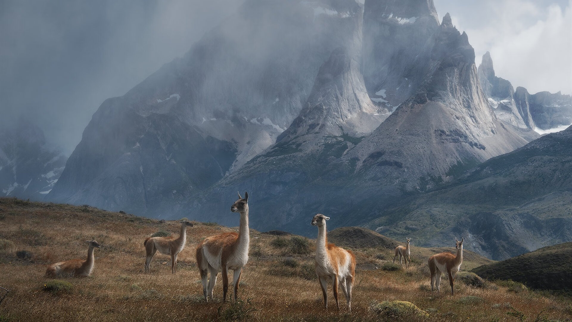 世俱杯分组-跨越疆界的领袖，从喀麦隆的绿茵铁血到阿拉巴的决胜之心
